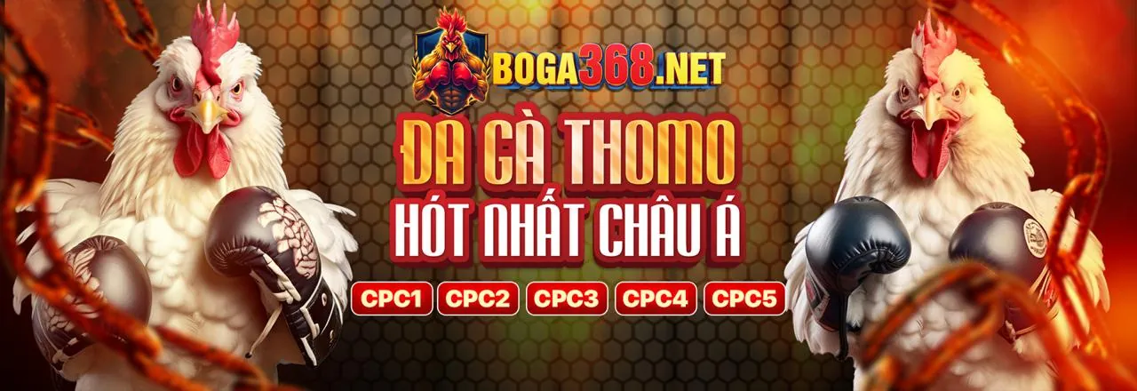 Truy cập trang chủ 12BET và tải ứng dụng